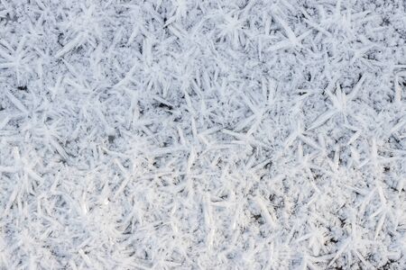 Natural beauty background -  hoarfrost on the grass.の写真素材