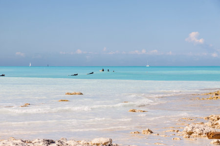 Surfers - Rosignano (near Vada), white beach in Italy, Toscany.
