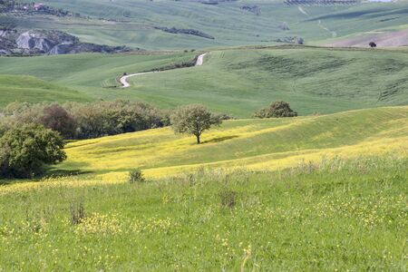 Toscany, Italy - typical landscape. Spring time.の写真素材