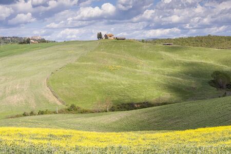Toscany, Italy - typical landscape. Spring time.の写真素材