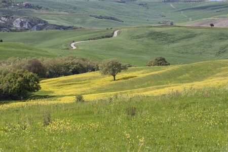 Toscany, Italy - typical landscape. Spring time.の写真素材