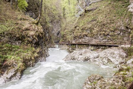 Beauty nature at Vintagr gorge - Slovenia.の写真素材