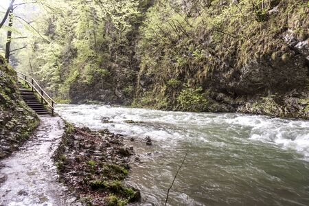Beauty nature at Vintagr gorge - Slovenia.の写真素材