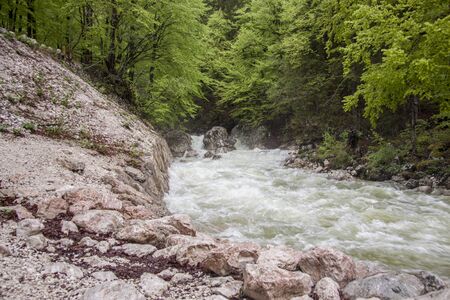 Beauty nature at Vintagr gorge - Slovenia.の写真素材