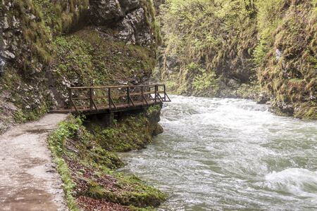Beauty nature at Vintagr gorge - Slovenia.の写真素材