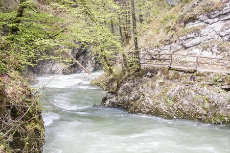 Beauty nature at Vintagr gorge - Slovenia.の写真素材