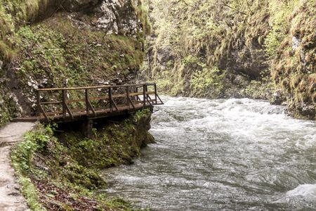 Beauty nature at Vintagr gorge - Slovenia.の写真素材