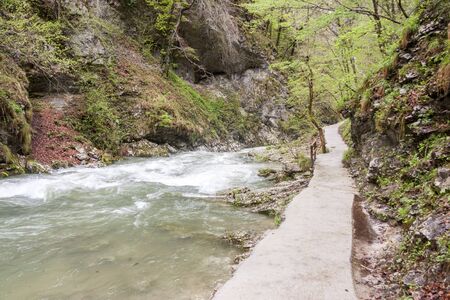 Beauty nature at Vintagr gorge - Slovenia.の写真素材