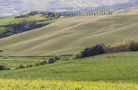 Beauty Tuscany spring landscape near Pienza village. Italy, Europe.の写真素材