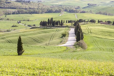 Beauty Tuscany spring landscape near Pienza village. Italy, Europe.の写真素材
