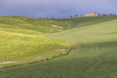 Beauty Tuscany spring landscape near Pienza village. Italy, Europe.の写真素材