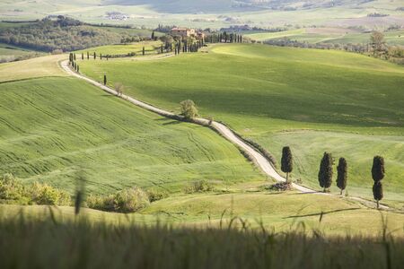 Beauty Tuscany spring landscape near Pienza village. Italy, Europe.の写真素材