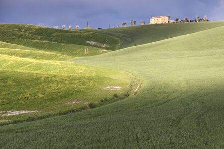Beauty Tuscany spring landscape near Pienza village. Italy, Europe.の写真素材