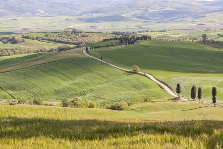 Beauty Tuscany spring landscape near Pienza village. Italy, Europe.の写真素材