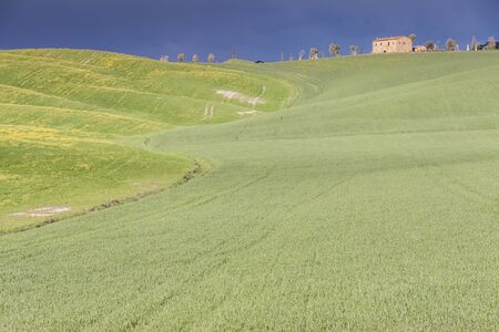 Beauty Tuscany spring landscape near Pienza village. Italy, Europe.の写真素材