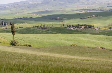 Beauty Tuscany spring landscape near Pienza village. Italy, Europe.の写真素材