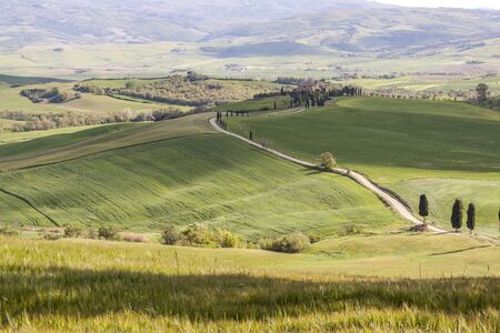 Beauty Tuscany spring landscape near Pienza village. Italy, Europe.の写真素材
