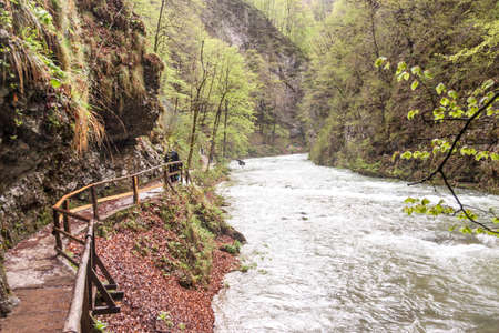 Bled, Slovenia - April 24, 2019: People walking on wooden bridges at Vintagr gorge as the Radovna River flows fast with lush green surrounding nature.のeditorial素材