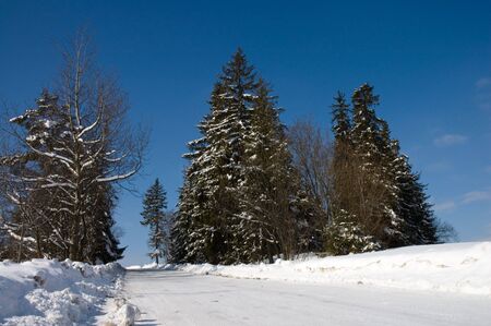 Snow covered road in polish moutains Tatryの写真素材