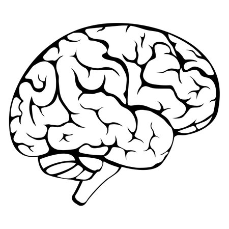Human brain medical vector icon illustration isolated on white background.のイラスト素材