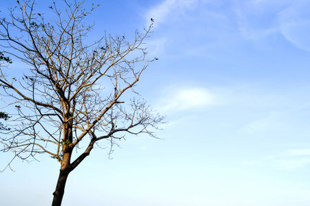 Beautiful natural lightの写真素材