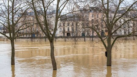 Paris under the snow and floods, flooded quays, trees under the water, Seine in winterの写真素材