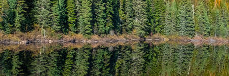 House hidden in the forest on the lake in Canada, in autumn, beautiful colors of the trees, reflection on the waterの写真素材