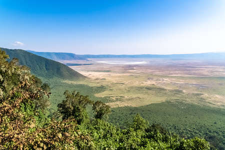 Tanzania, view of the Ngorongoro crater, beautiful landscape with different animals living togetherの写真素材