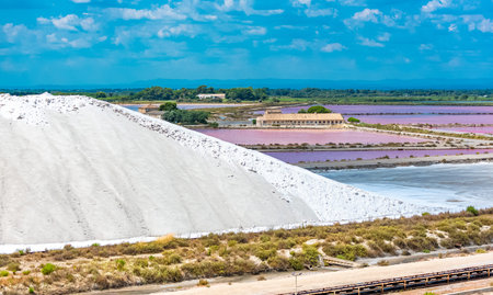 Aigues-Mortes, Salins du Midi, panorama with salt marshesの写真素材