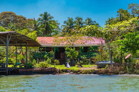 Costa Rica, typical shelter on the river, in Tortuguero, wildlife in the mangroveのeditorial素材