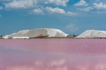 Aigues-Mortes, Salins du Midi, panorama with salt marshesのeditorial素材