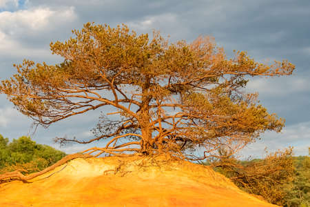 A colorful landscape in the ochres in Roussillon, in Provenceの写真素材