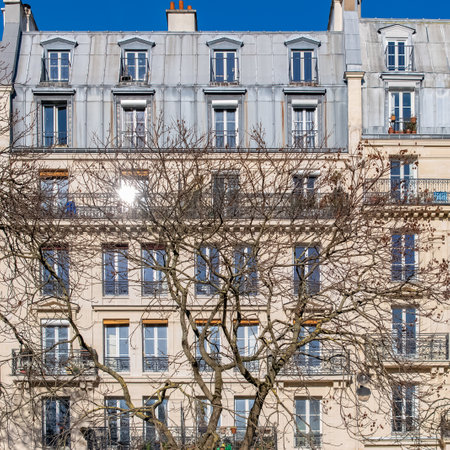 Paris, typical facade and windows, beautiful building, with old zinc roofsの写真素材
