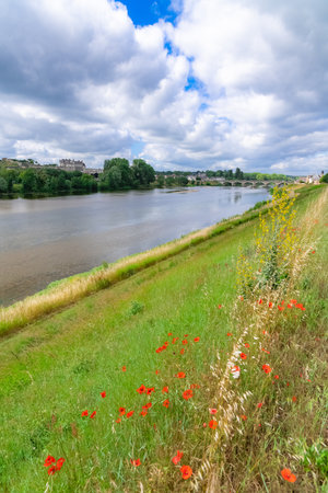 Amboise castle in France, beautiful French heritage, panorama with the river Loire in springのeditorial素材