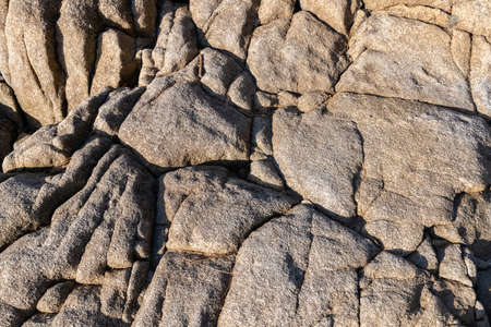 Granit stone with lichen on a beach on Brittany, natural backgroundの写真素材