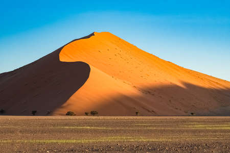 Namibia, the Namib desert, graphic landscape of red dunesの写真素材