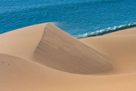 Namibia, the Namib desert, landscape of yellow dunes falling into the sea, the wind blowing on the sandの写真素材