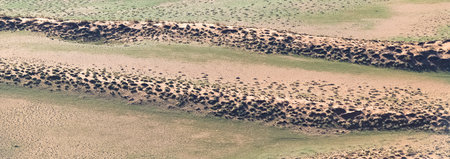 Namibia, aerial view of the Namib desert, in raining season, beautiful landscapeの写真素材