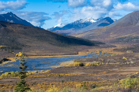 Yukon in Canada, wild landscape in autumn of the Tombstone parkの写真素材