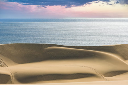 Namibia, the Namib desert, landscape of yellow dunes falling into the seaの写真素材