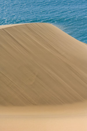 Namibia, the Namib desert, landscape of yellow dunes falling into the sea, the wind blowing on the sandの写真素材