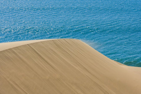 Namibia, the Namib desert, landscape of yellow dunes falling into the sea, the wind blowing on the sandの写真素材