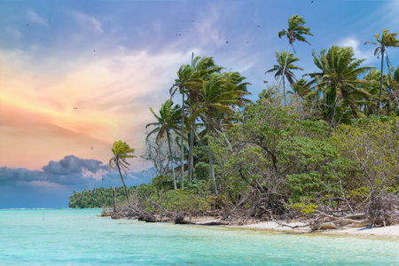 A paradise island beach palms and clear turquoise ocean water in French Polynesia, with coconut treeの写真素材