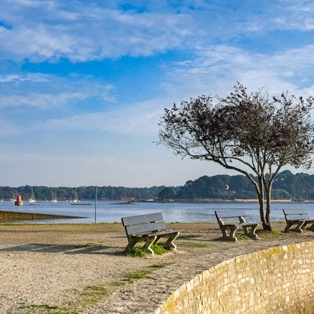 Brittany, view of the Morbihan gulf, the Ile aux Moines, in springの写真素材