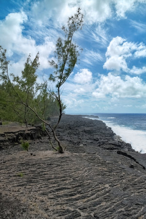 La Reunion, the volcanic garden, landscape at Saint-Philippe, cliff formed by ancient lava on the seaの写真素材