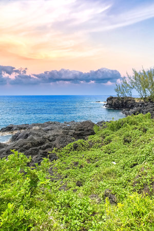 La Reunion island, seascape at Sainte-Rose, palm trees on the coast, with solidified lava flowの写真素材