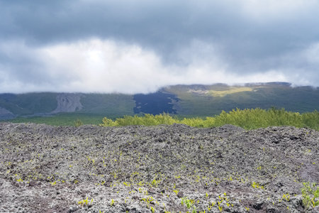 La Reunion island, landscape at Sainte-Rose with solidified lava flow, route des lavesの写真素材