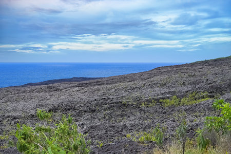 La Reunion island, seascape at Sainte-Rose, palm trees on the coast, with solidified lava flow, route des lavesの写真素材