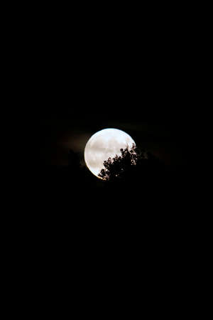 A super moon in the skyの写真素材