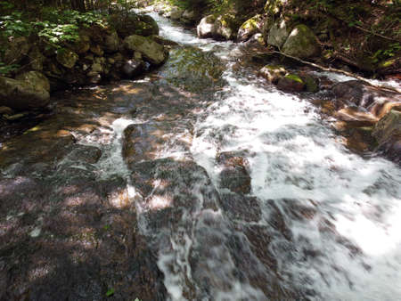 a waterfall in the forestの写真素材